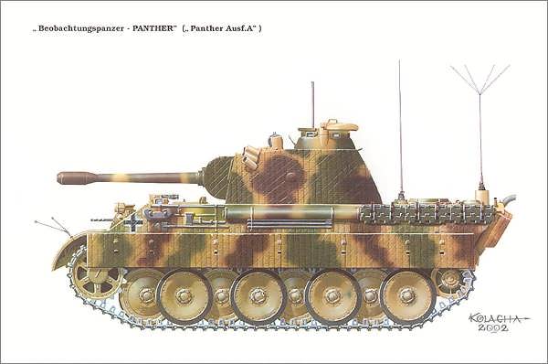 Panther Variants in Color